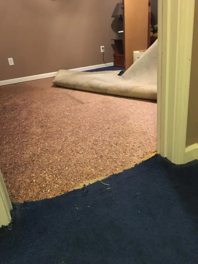 Carpet pad removal revealing water damage during Drying & Dehumidification in Ulysses