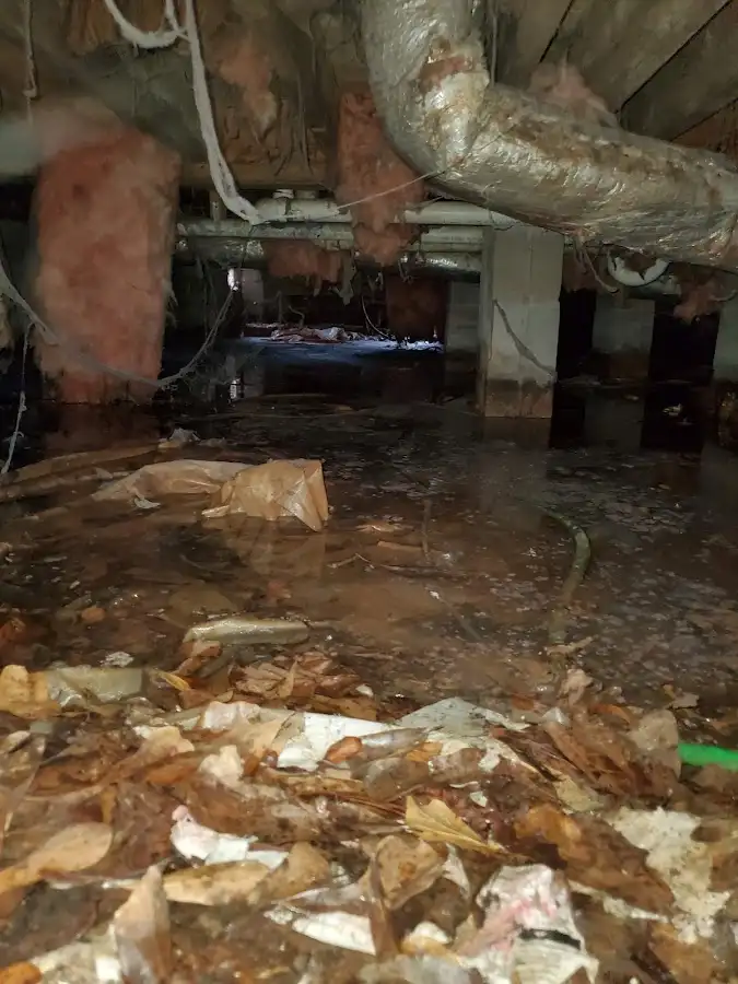 Crawl space flood assessment for Leak Detection & Repair in Ulysses